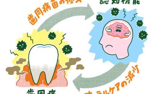 斑纳杜功效网 - 网站提供班纳杜的功效与作用小常识、斑纳杜可以退烧吗