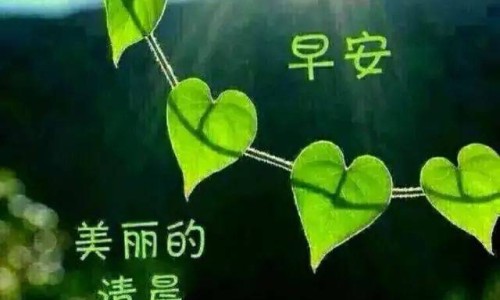 斑纳杜功效网 - 网站提供班纳杜的功效与作用小常识、斑纳杜可以退烧吗